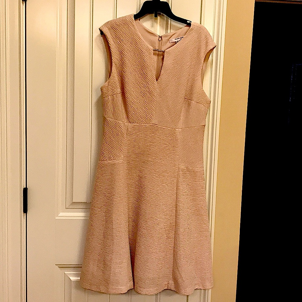 Blush colored Dress